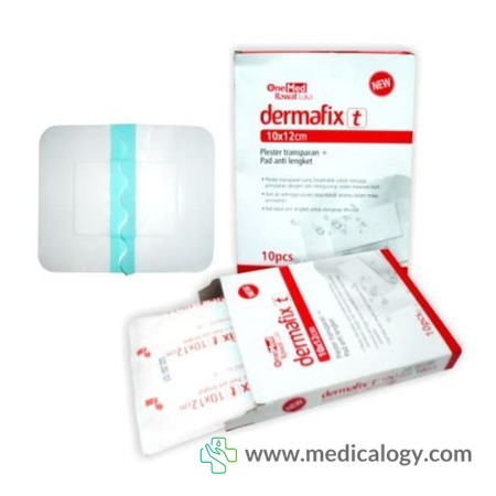 harga Dermafix T 10x12cm OneMed per Box isi 10