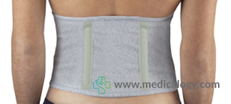 harga PAVIS 685 Abdominal / Umbilical Sabuk Penahan Perut Hernia Size L